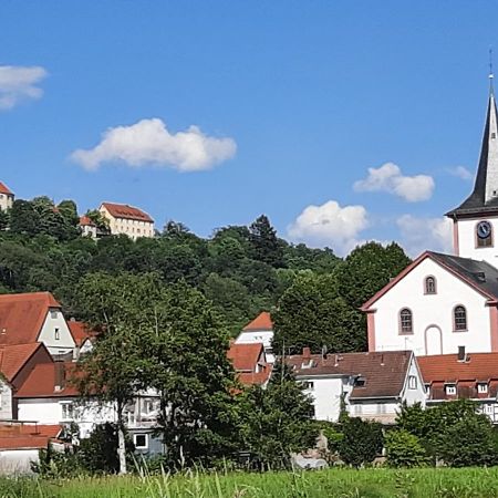 Ferienwohnung Odenwaldflair Reichelsheim Ngoại thất bức ảnh